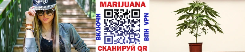 Купить закладки  Дагестанские Огни  Бошки марихуана ГИДРОПОН 